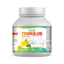 Tribulus 500, 60 capsule, NATURALIS