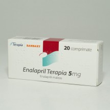 Enalapril Terapia 5mg, 2 blistere x 10 comprimate  T