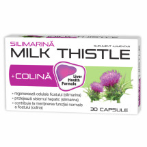 Milk Thistle Silimarina X 30 capsule