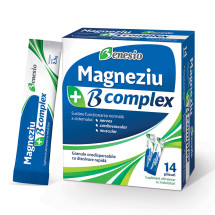 Benesio Magneziu B complex X 14 plicuri orodispersabile