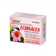 HOFIGAL Echinacea, 40 capsule