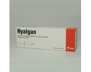 Hyalgan sol inj 20mg/2ml x 1ser