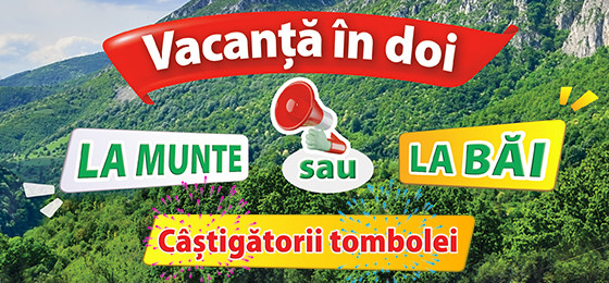Castigatori Vacanta in doi la munte sau la bai